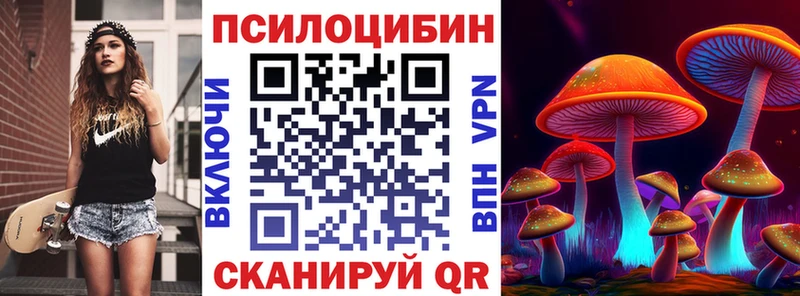 Купить Пойковский Галлюциногенные грибы мухоморы